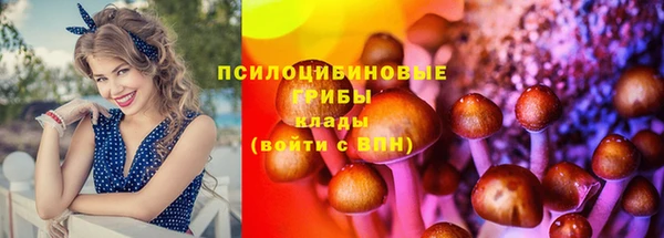 МДПВ Волосово