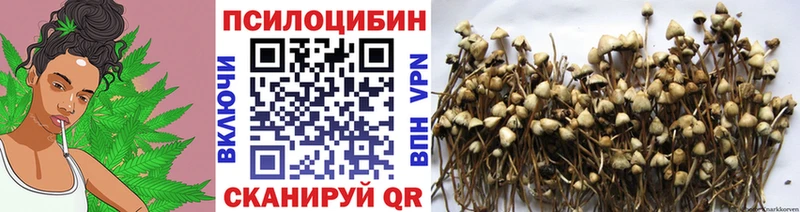 где продают наркотики  Карабаш  Псилоцибиновые грибы мухоморы 
